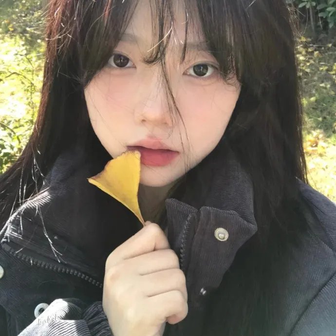 青春家庭剧